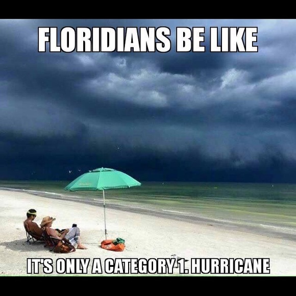 Meet your Posher, Billie - Picture 6 of 7